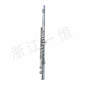 Music Equipment Series長(zhǎng)笛