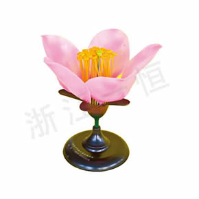 Biological Model Series櫻花模型