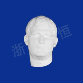 Art Textbook series阿格里巴半面
