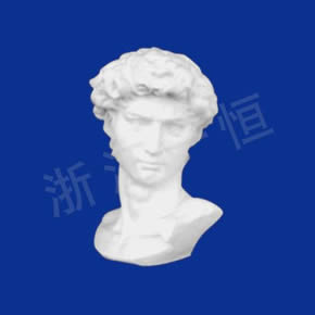 Art Textbook series大衛(wèi)頭像