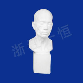 Art Textbook series解剖頭像