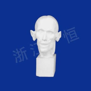Art Textbook series解剖頭像