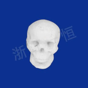 Art Textbook series男頭骨