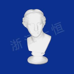Art Textbook series維納斯人頭像