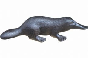 Biological and medical models3237 仿真鴨嘴獸