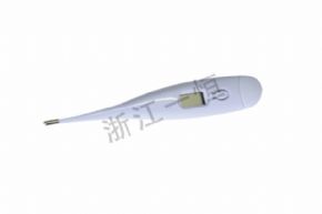 General instrument13011 電子體溫計