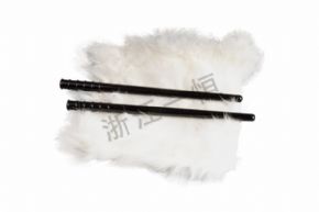 物理2302 膠棒
