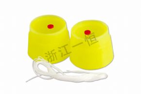 Primary school science29017 組裝土電話