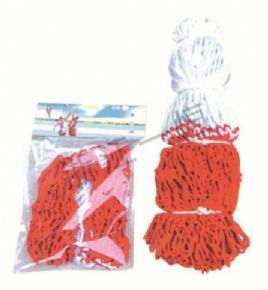 Sports Equipment二色編織籃球網(wǎng)