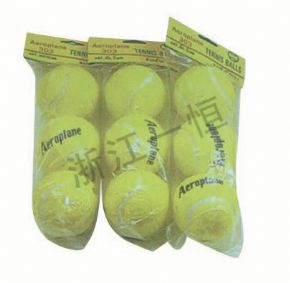 Sports Equipment三只裝網(wǎng)球
