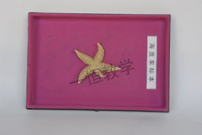 specimen海盤車標(biāo)本