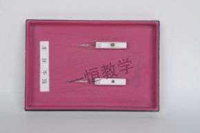 specimen瓢蟲標本