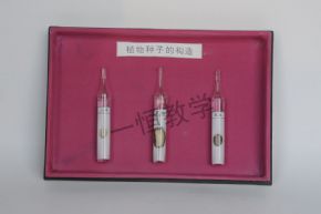 specimen植物葉子的構(gòu)造標(biāo)本