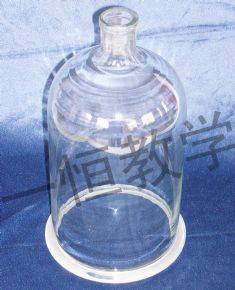 Glass instrument玻璃鐘罩
